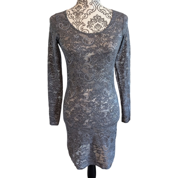 Aritzia Talula Clarendon Dress Lace Sheer Whimsigoth Y2K Women's M Fairy Grey - Picture 2 of 14